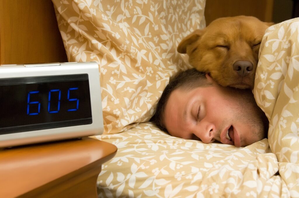 Brown dog resting head on man's head at 6:05