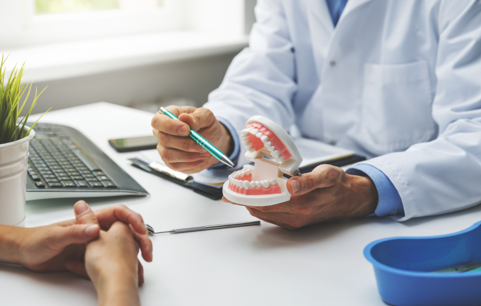 Dentist showing patient model teeth